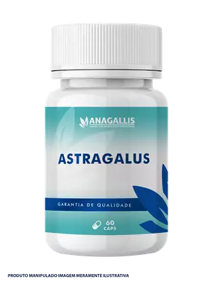 Astragalus 100mg