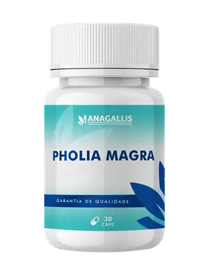 Pholia Magra 500mg 