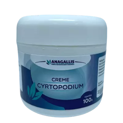 Creme Cyrtopodium Anagallis